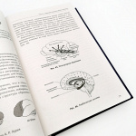 Книга "Основы нейропсихологии" Татьяна Визель